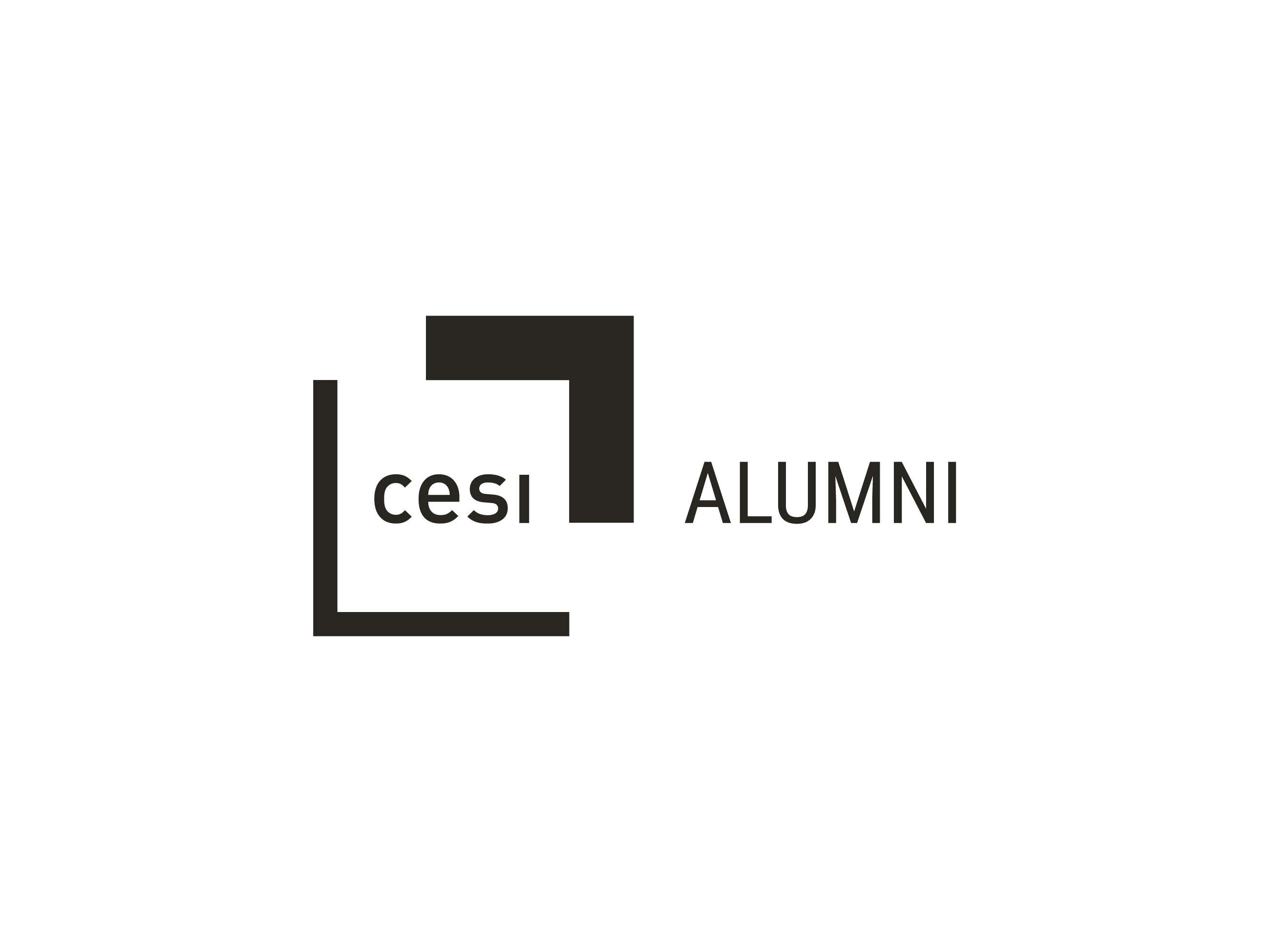  CESI  alumni Bureau du Conseil d Administration